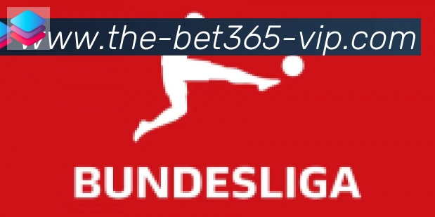 bet365在线体育合作伙伴